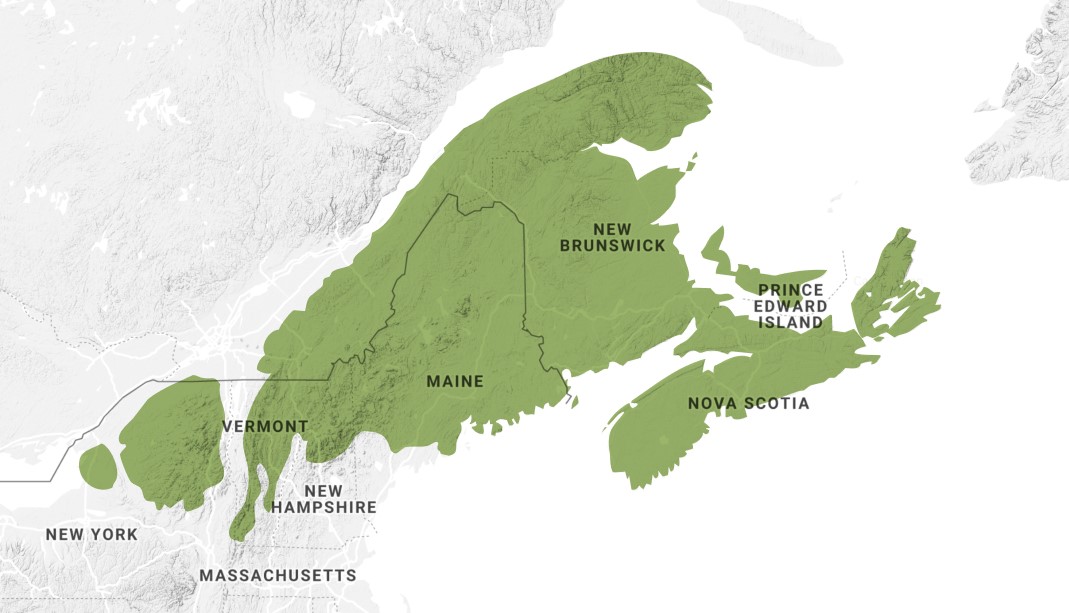A grey topographical map with a green overlay showing the Acadian forest.